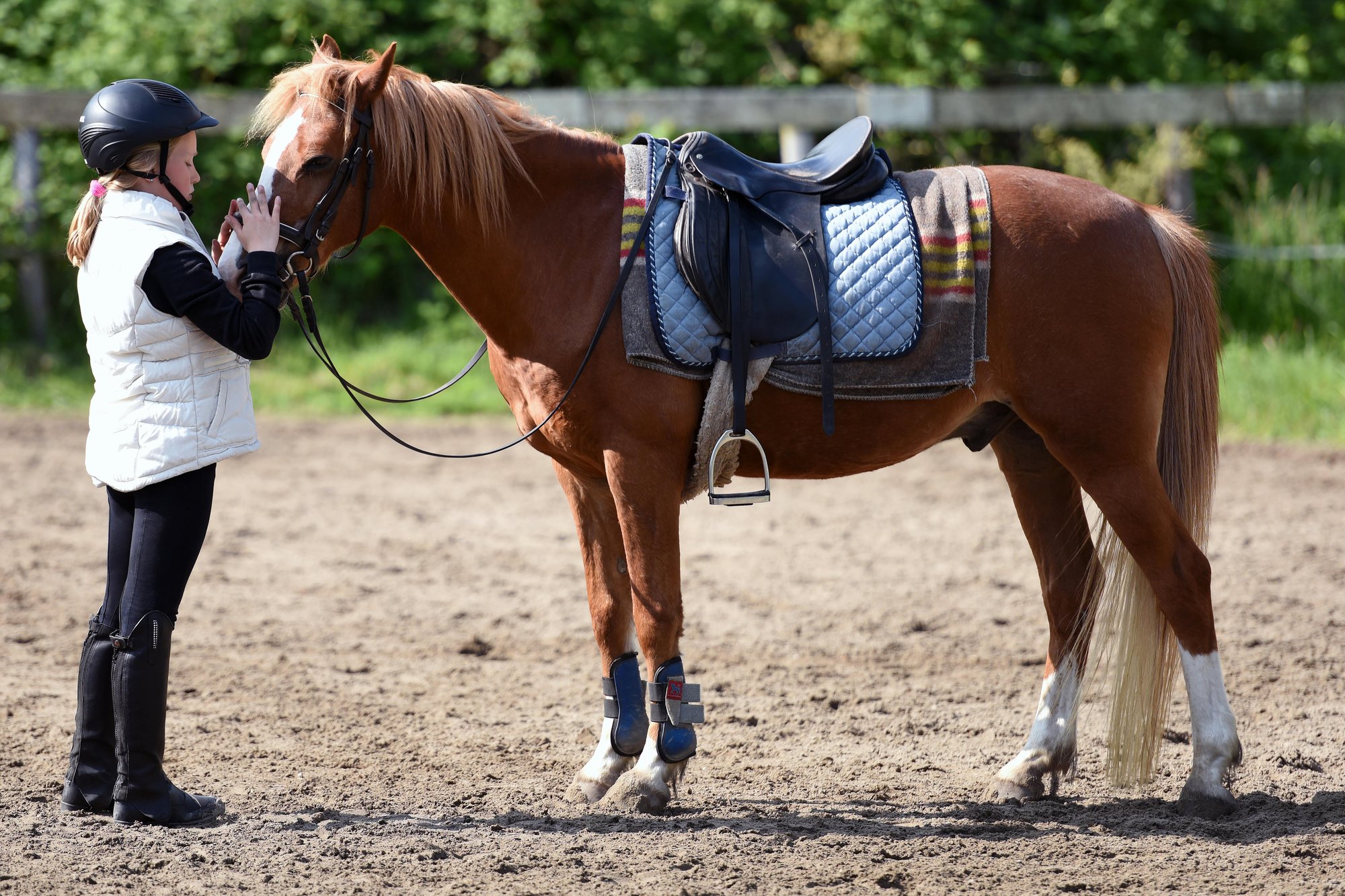 Teen rider in equestrian gear affectionately interacting with her horse