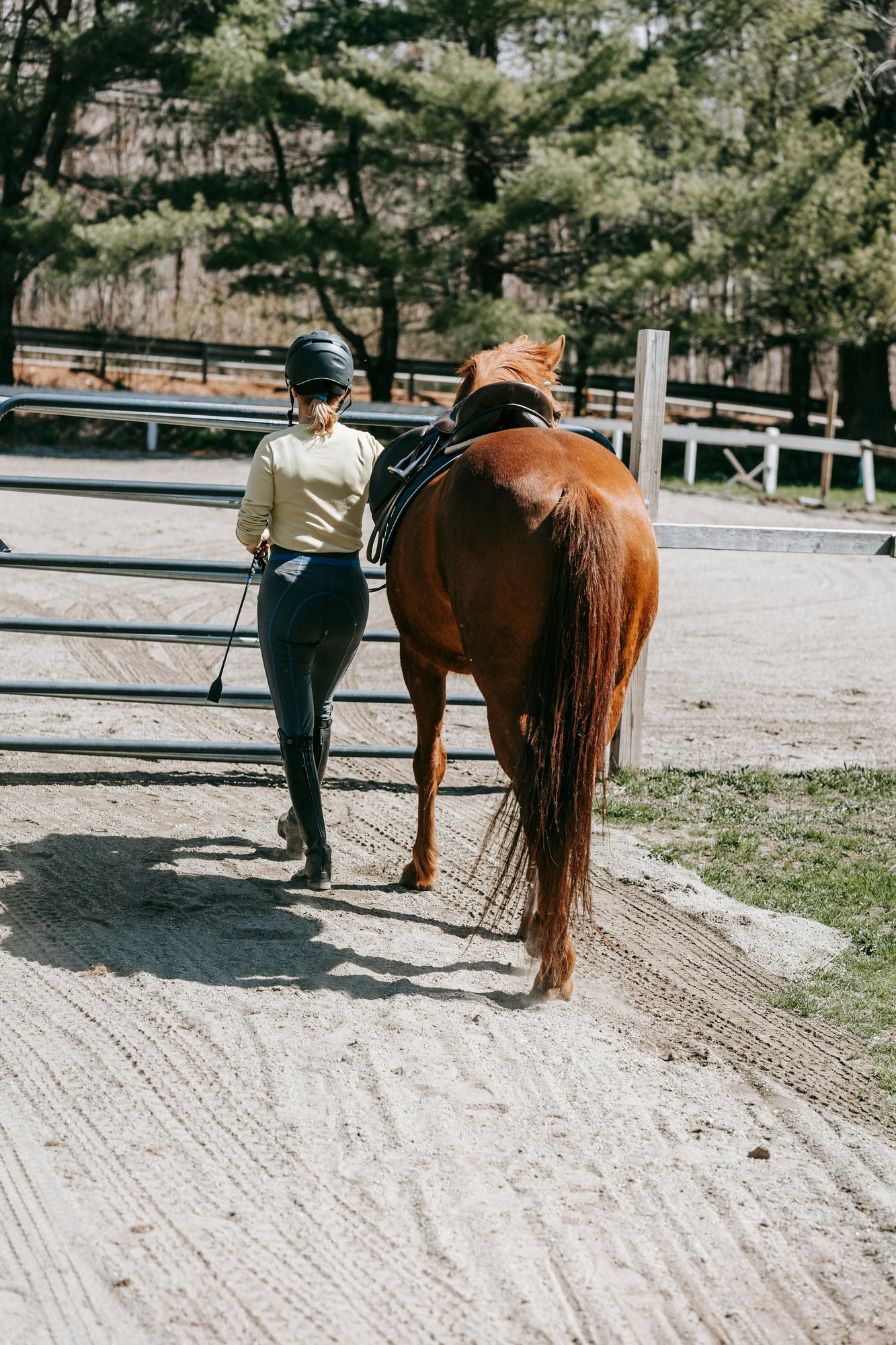 pexels-barbara-olsen-7882372