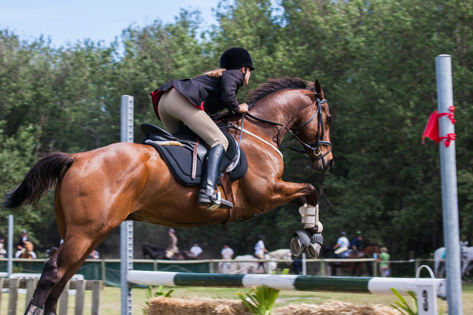 Equestrian jumping competition demonstrating the athletic demands and safety needs of horse riding